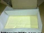 Butter wholesale Dairy Butter 72,5 % 82,5% Масло сливочное - photo 2