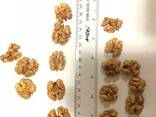 Walnut - photo 2