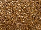 100 metric tons of brown flax for sale. Quality: 99.99 - фото 1