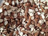 Almond - photo 1