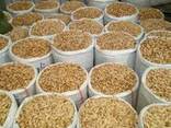 Almonds - photo 2