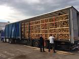 Ash/Oak Firewood - photo 1