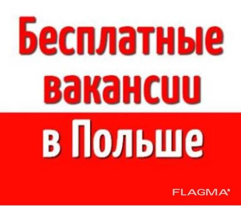 Бесплатное легальное трудоустройство в Польше
