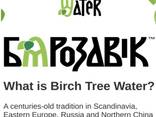 Birch juice, 100% natural, PET bottle. Сок березовый, 100% натуральный, ПЭТ-бутылка - фото 1