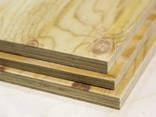 Birch plywood Фанера березовая - фото 1
