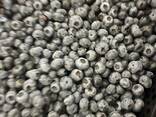 Blueberry from Poland - photo 3