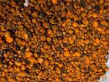 Cattle/Ox Gallstones - photo 3