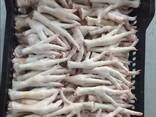 Chicken Feet and chicken paws and whole halal chicken at the best prices with prompt shipp - photo 3