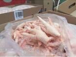 Chicken Feet / Frozen Chicken Paws Brazil / Fresh chicken wings and foot - photo 1