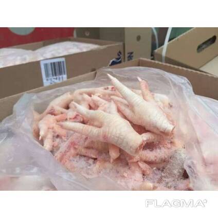 Chicken Feet / Frozen Chicken Paws Brazil / Fresh chicken wings and foot
