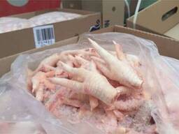 Chicken Feet / Frozen Chicken Paws Brazil / Fresh chicken wings and foot