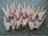 Chicken Feet / Frozen Chicken Paws Brazil / Fresh chicken wings and foot - photo 8