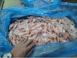 Chicken Feet / Frozen Chicken Paws Brazil / Fresh chicken wings and foot - photo 9