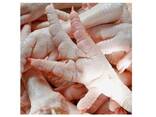 Chicken Feet / Frozen Chicken Paws Brazil / Fresh chicken wings and foot - photo 11