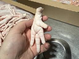Chicken paws grade a 30 Export to China