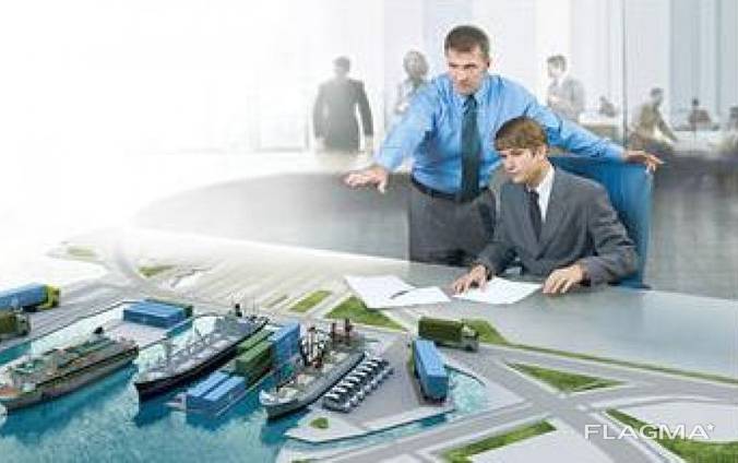 Customs services, clearance (as customs brokers)