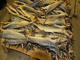High Grade Dried Stock Fish Dried Stockfish / Stock fish Cod from Norway ready for exports - photo 1