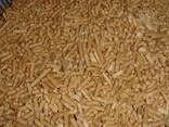 ENPlus A1 Premium Wood Pellets - photo 1
