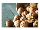 Factory supply walnut lowest price in shell walnuts kernels - photo 5