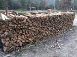 Firewood - photo 5