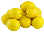 Fresh lemon fruits for sale - photo 2