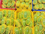 Fresh Mango from Vietnam - photo 2
