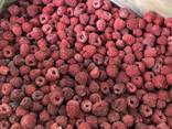 Frozen fruits from Moldova - photo 2