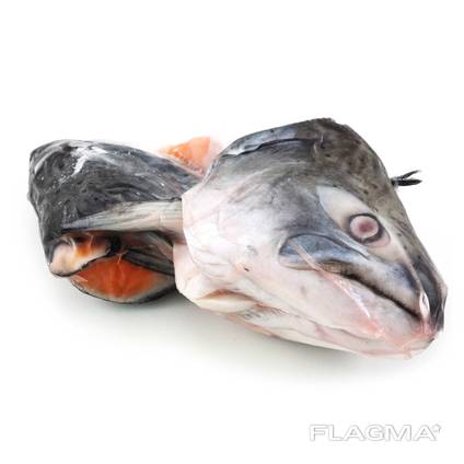 Frozen salmon