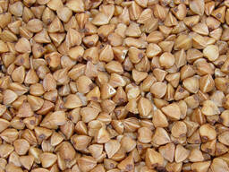 Гречневая крупа