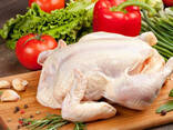 Halal - Frozen Chicken, Thigh, Back quarter, Wings , Fillet IPBF , IQF, BF. Ukraine - photo 2