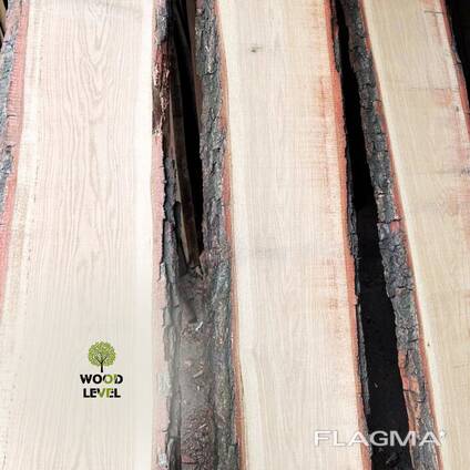 High-quality unedged dry oak board (moisture content 8%), 50 mm, 3 m, АА grade