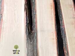 High-quality unedged dry oak board (moisture content 8%), 50 mm, 3 m, АА grade