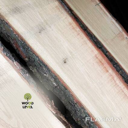 Oak unedged dry board 50 mm 3 m 1,2,3 grade (mix)