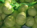 Cabbage wholesale Kazakhstan - photo 1