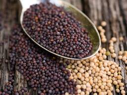 I will sell mustard white, yellow, black.