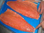 Norwegian Atlantic Wild Salmon Fillet / Whole Round Fresh Pink Salmon For Sale/ Trout Fish - photo 1