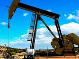 JP54, A1, D2, D6, M100, Crude oil, gasolene, LPG, LNG - photo 2