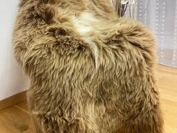 Long haired nederlands sheepskin XXL