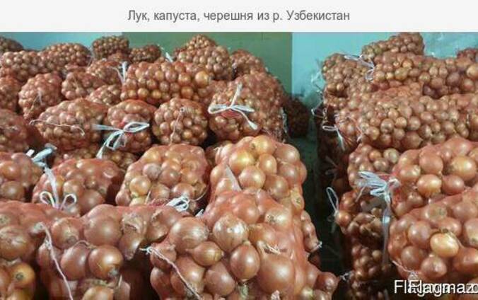 Лук, капуста, огурцы, консервация из Р. Узбекистан