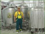 Microbrewery Blonder beer 3bbl (500 liters/day) - photo 1