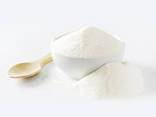Milk Powder - photo 1