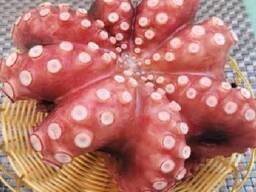 Мороженные морепродукты в Великобританию от завода из Китая