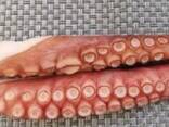 Мороженные морепродукты в Великобританию от завода из Китая - photo 8