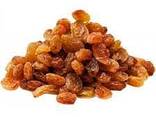 Musaevs exim supplies dried fruits and nuts from Uzbekistan - photo 3