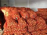 Onion - photo 6