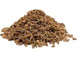 Organic Anise Seed best prices for Sale
