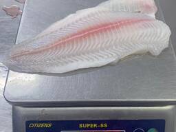Pangasius fillets and whole frozen panga fish