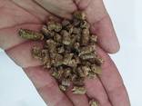 Pellets Class A1 ENplus - photo 1
