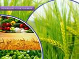 Pesticide manufacturer and supplier worldwide - photo 1