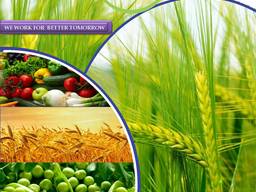 Pesticide manufacturer and supplier worldwide